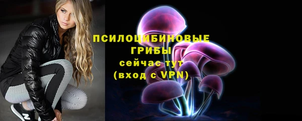 ECSTASY Балахна
