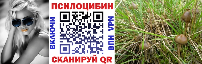 Галлюциногенные грибы MAGIC MUSHROOMS omg tor Барабинск