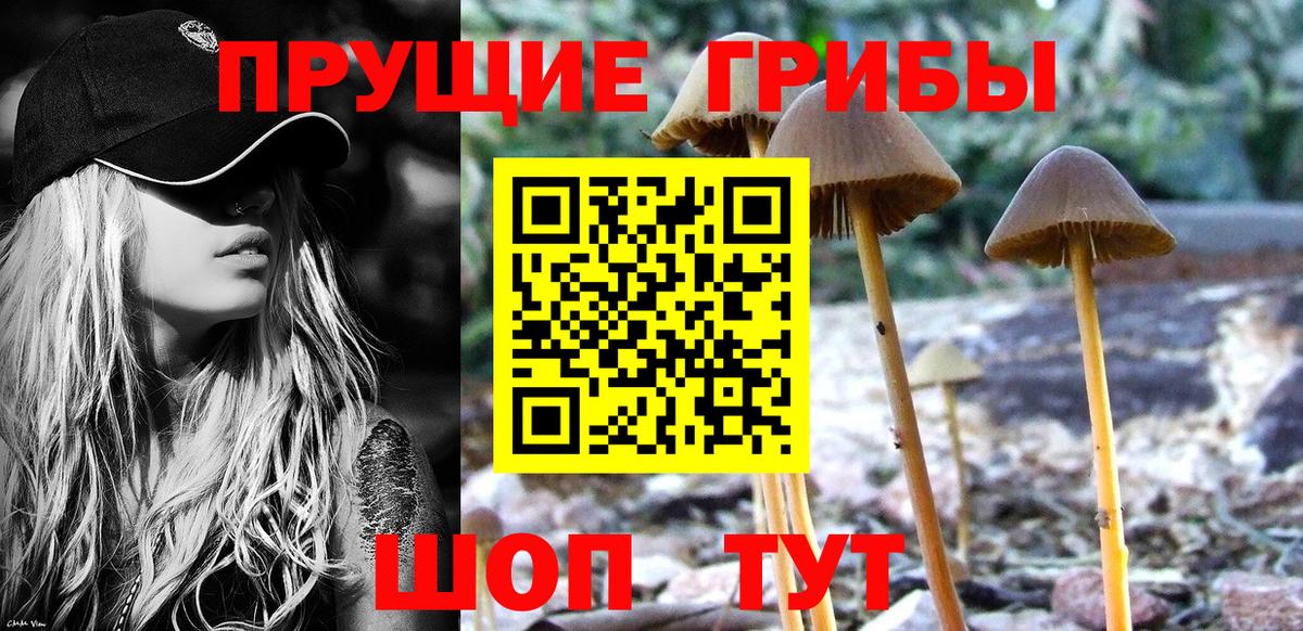 Псилоцибиновые грибы прущие грибы Барабинск
